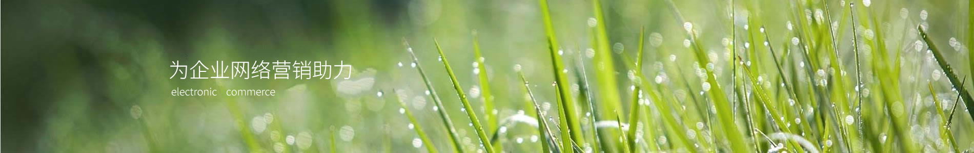 ٽﻷƼ޹˾
